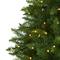 7.5ft. Pre-Lit Green Valley Fir Artificial Christmas Tree with Clear LED Lights